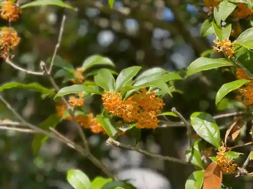 伊勢の国 四天王寺の自然