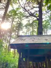 鹿島神社(茨城県)