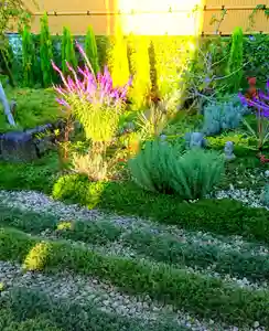 寿量山 速成寺の自然(2020年10月22日(木) 08時35分46秒投稿)