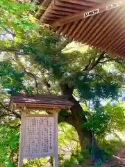 雨引千勝神社(茨城県)