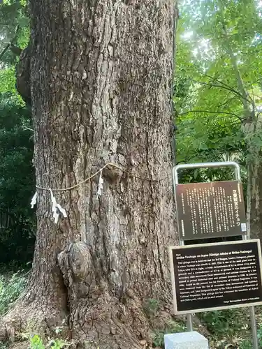 芝東照宮(東京都)