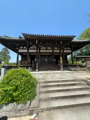 般若寺 ❁﻿コスモス寺❁(奈良県)