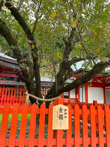金櫻神社(山梨県)