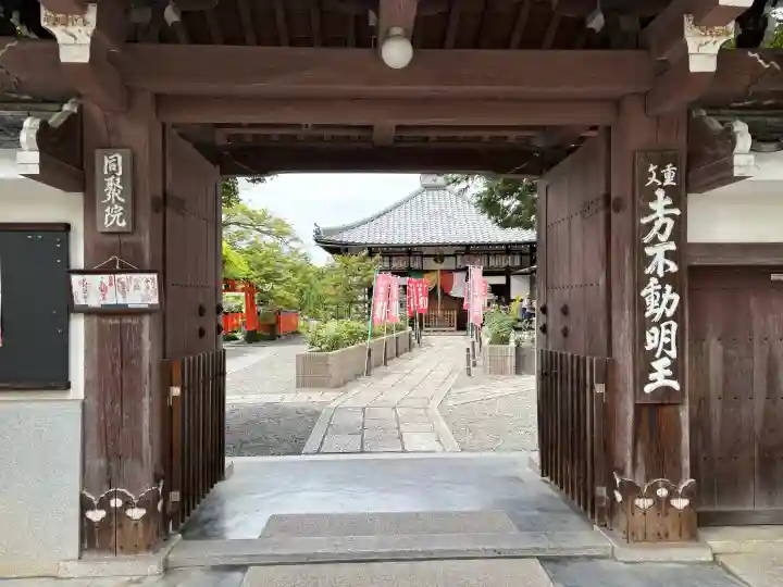 五大堂同聚院の{uncategorized: "未分類", other: "その他", undefined: "問題あり", building: "その他建物", grave: "お墓", sacred_gate: "鳥居", guardian: "狛犬", statue: "像", buddha: "仏像", history: "歴史", nature: "自然", garden: "庭園", animal: "動物", pagoda: "塔", temizu: "手水舎", mountain_gate: "山門・神門", sanctuary: "本殿・本堂", subordinate: "末社・摂社", art: "芸術", scenery: "景色", jizo: "地蔵", ema: "絵馬", goshuin: "御朱印", omikuji: "おみくじ", items: "授与品その他", amulet: "お守り", goshuincho: "御朱印帳", eats: "食事", festival: "お祭り", votive_dance: "神楽", shichigosan: "七五三参", wedding: "結婚式", experience: "体験その他", initially: "初詣", around: "周辺", anti_infection: "感染症対策"}
