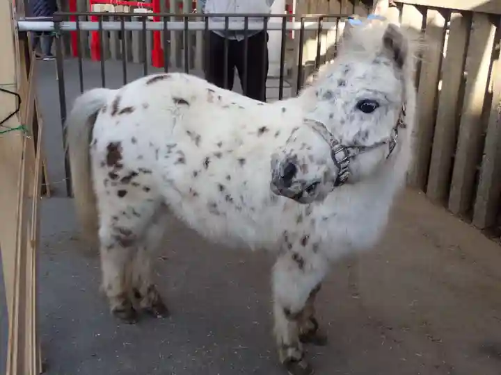 五方山熊野神社(東京都)