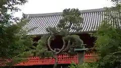 清水観音堂の庭園