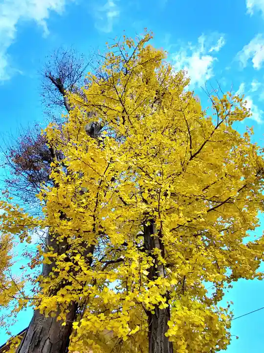 阿邪訶根神社(福島県)