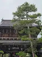 智恩寺(京都府)
