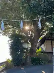 日吉神社(神奈川県)