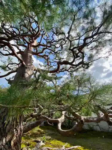 久昌院(京都府)