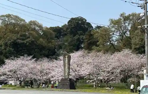 筑紫神社の{uncategorized: "未分類", other: "その他", undefined: "問題あり", building: "その他建物", grave: "お墓", sacred_gate: "鳥居", guardian: "狛犬", statue: "像", buddha: "仏像", history: "歴史", nature: "自然", garden: "庭園", animal: "動物", pagoda: "塔", temizu: "手水舎", mountain_gate: "山門・神門", sanctuary: "本殿・本堂", subordinate: "末社・摂社", art: "芸術", scenery: "景色", jizo: "地蔵", ema: "絵馬", goshuin: "御朱印", omikuji: "おみくじ", items: "授与品その他", amulet: "お守り", goshuincho: "御朱印帳", eats: "食事", festival: "お祭り", votive_dance: "神楽", shichigosan: "七五三参", wedding: "結婚式", experience: "体験その他", initially: "初詣", around: "周辺", anti_infection: "感染症対策"}