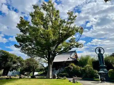正光寺(東京都)