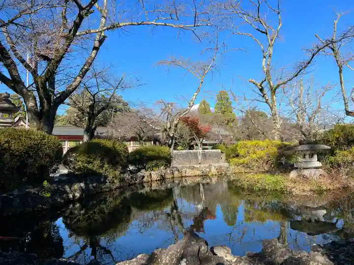 富士山本宮浅間大社の庭園