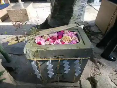 戸越八幡神社(東京都)