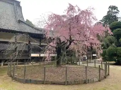 観福寺(千葉県)