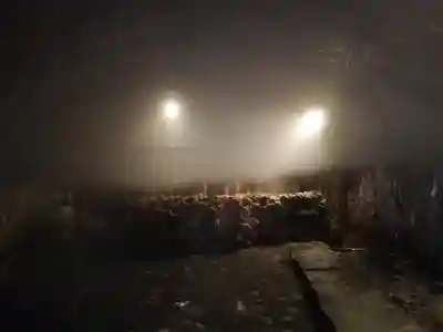 伊豆山神社のその他建物