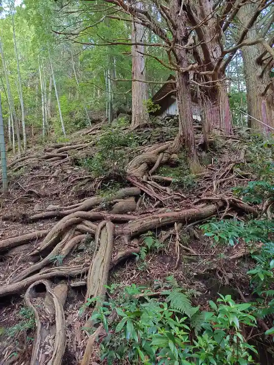 須佐之男神社(愛知県)
