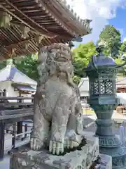 柳谷観音　楊谷寺(京都府)