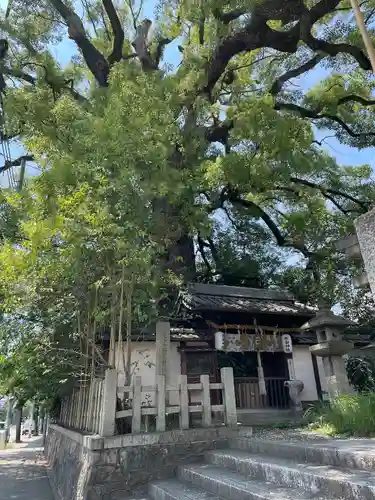新熊野神社の自然