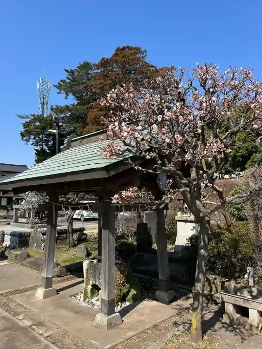 水海道天満宮(茨城県)