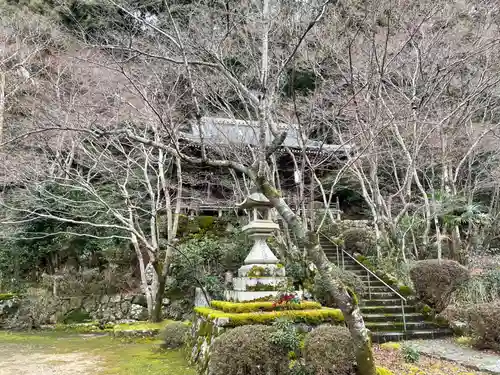 勝持寺（花の寺）(京都府)