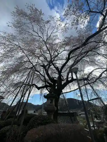 林陽寺の{uncategorized: "未分類", other: "その他", undefined: "問題あり", building: "その他建物", grave: "お墓", sacred_gate: "鳥居", guardian: "狛犬", statue: "像", buddha: "仏像", history: "歴史", nature: "自然", garden: "庭園", animal: "動物", pagoda: "塔", temizu: "手水舎", mountain_gate: "山門・神門", sanctuary: "本殿・本堂", subordinate: "末社・摂社", art: "芸術", scenery: "景色", jizo: "地蔵", ema: "絵馬", goshuin: "御朱印", omikuji: "おみくじ", items: "授与品その他", amulet: "お守り", goshuincho: "御朱印帳", eats: "食事", festival: "お祭り", votive_dance: "神楽", shichigosan: "七五三参", wedding: "結婚式", experience: "体験その他", initially: "初詣", around: "周辺", anti_infection: "感染症対策"}