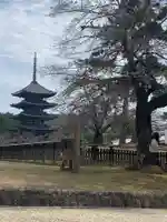 興福寺 南円堂のその他建物