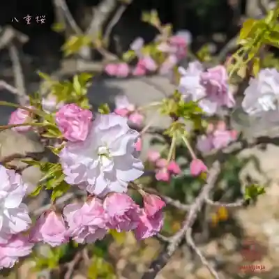 立志神社(滋賀県)