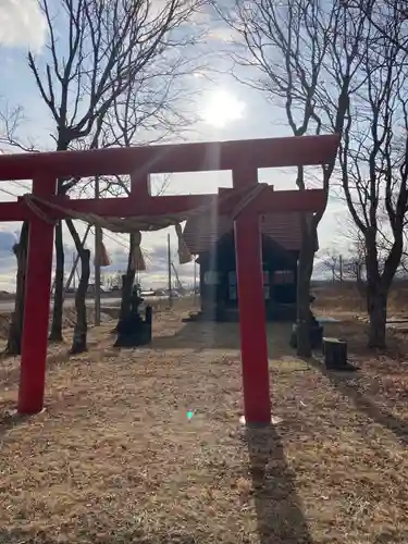 社台稲荷神社の鳥居