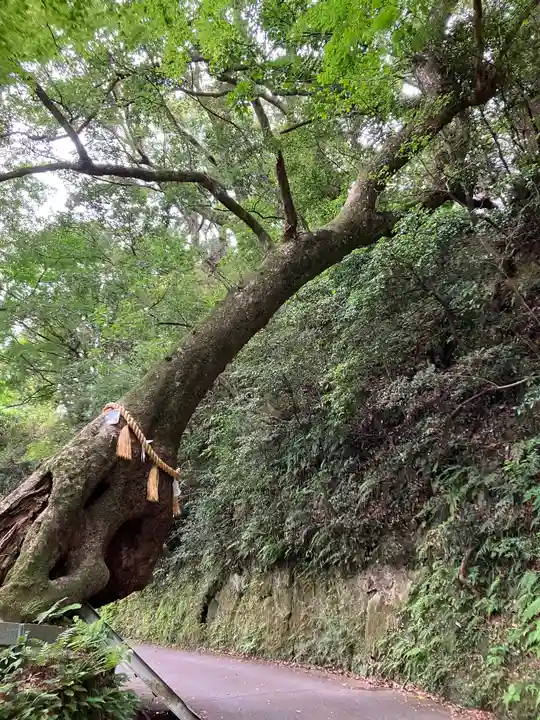 笠森寺(千葉県)