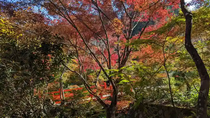 神藏寺(京都府)