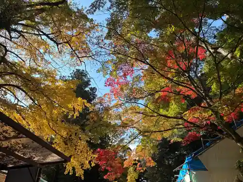 香取神宮(千葉県)