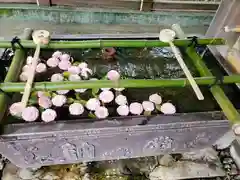 唐澤山神社の手水