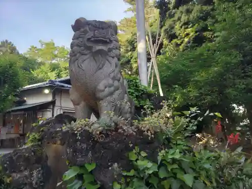 柏諏訪神社の狛犬