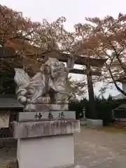 冨士御室浅間神社の狛犬