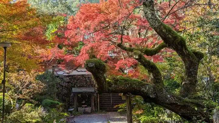 神藏寺(京都府)