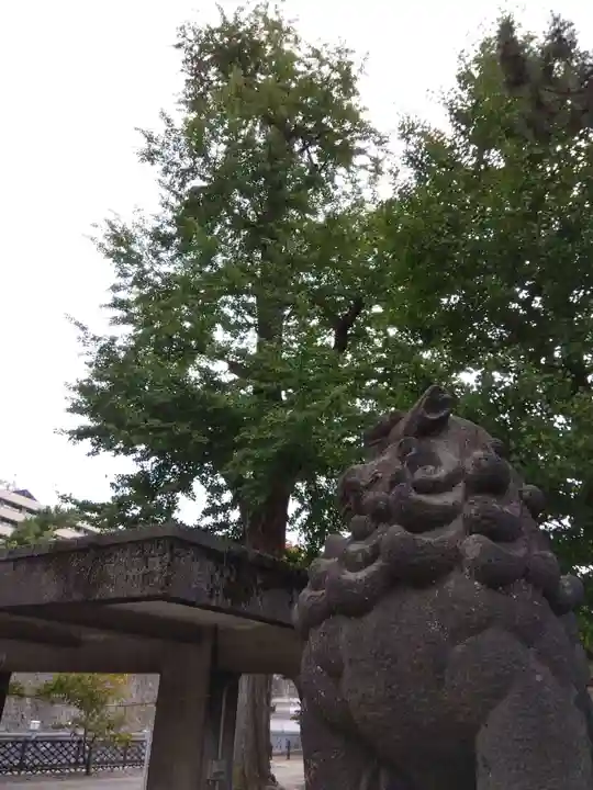 福井神社(福井県)