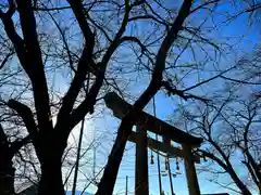 大洲七椙神社の鳥居