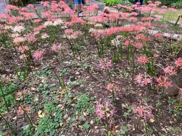 横浜 西方寺の自然