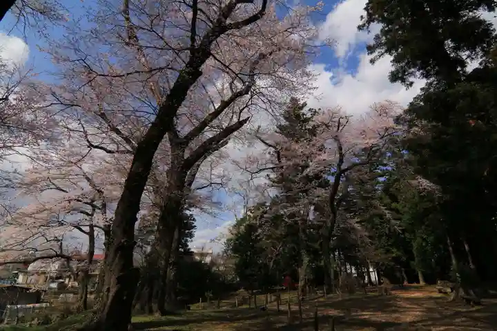 神炊館神社 ⁂奥州須賀川総鎮守⁂の自然