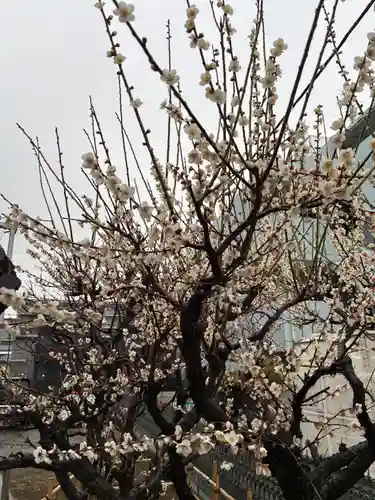 香取神社(千葉県)
