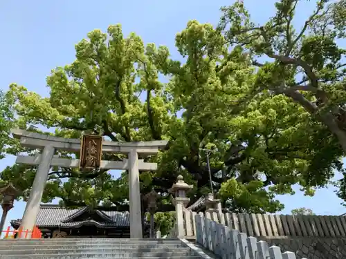 百舌鳥八幡宮の鳥居