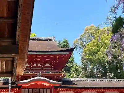 春日大社(奈良県)