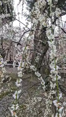 城南宮(京都府)