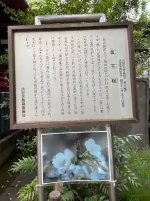 金王八幡宮(東京都)