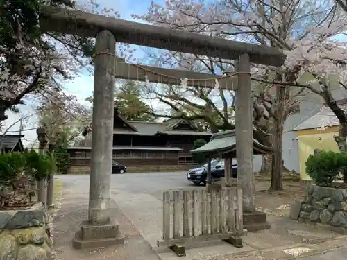 八坂神社の鳥居