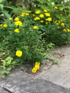 木舟山 順教寺の自然(2021年08月05日(木) 13時53分49秒投稿)