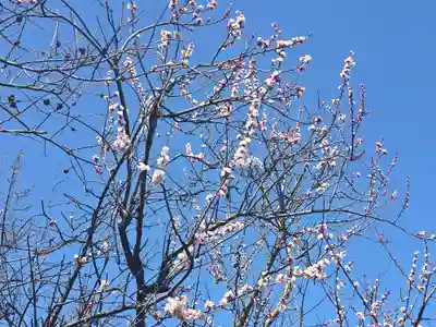 小松寺(大阪府)