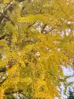 三栖神社(京都府)