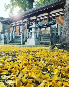 阿保神社(大阪府)(2023年12月08日(金) 12時03分06秒投稿)